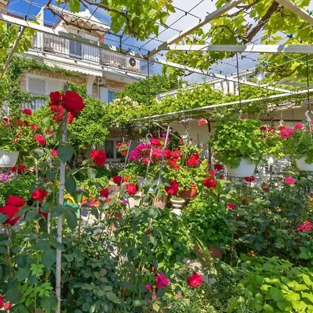 Galic Adriatic Escape Apartman